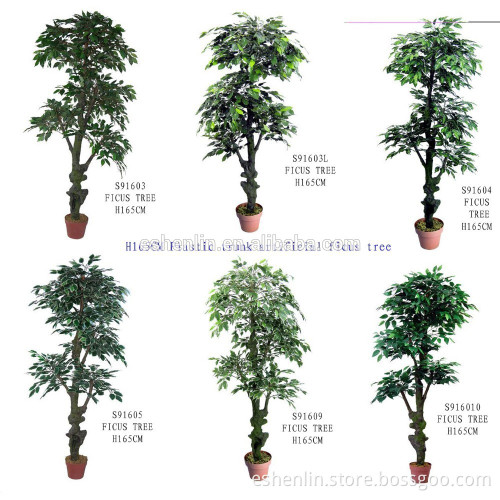 2016 hot sale ficus nitida , artificial banyan tree H165CM